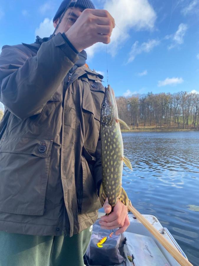 Beniaskie! Lake Lodge In West Masuria Milakowo 外观 照片